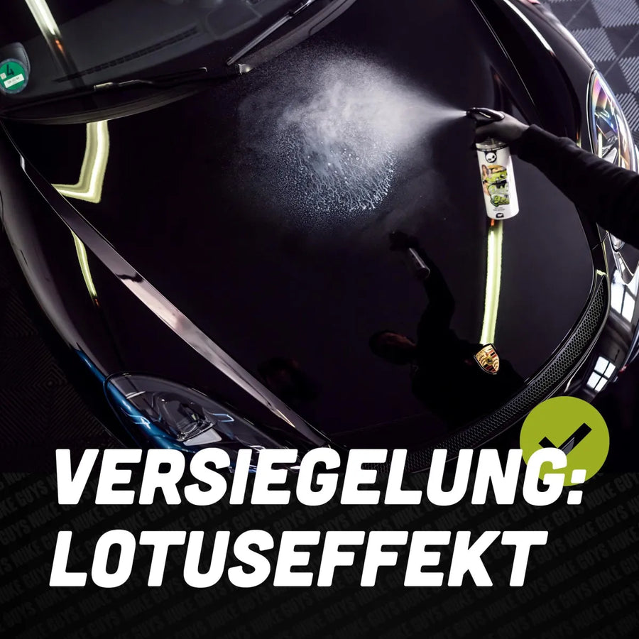 auto detailing spray lack glanz versiegelung